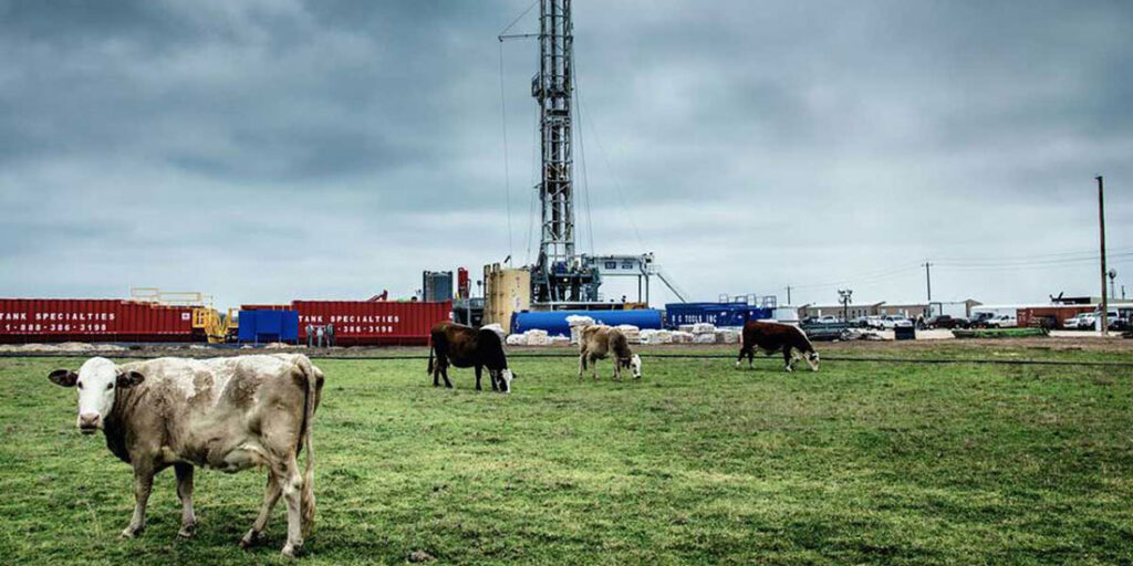 Ίχνη του ιού H5N1 εντοπίστηκαν σε παστεριωμένο αγελαδινό γάλα στις ΗΠΑ