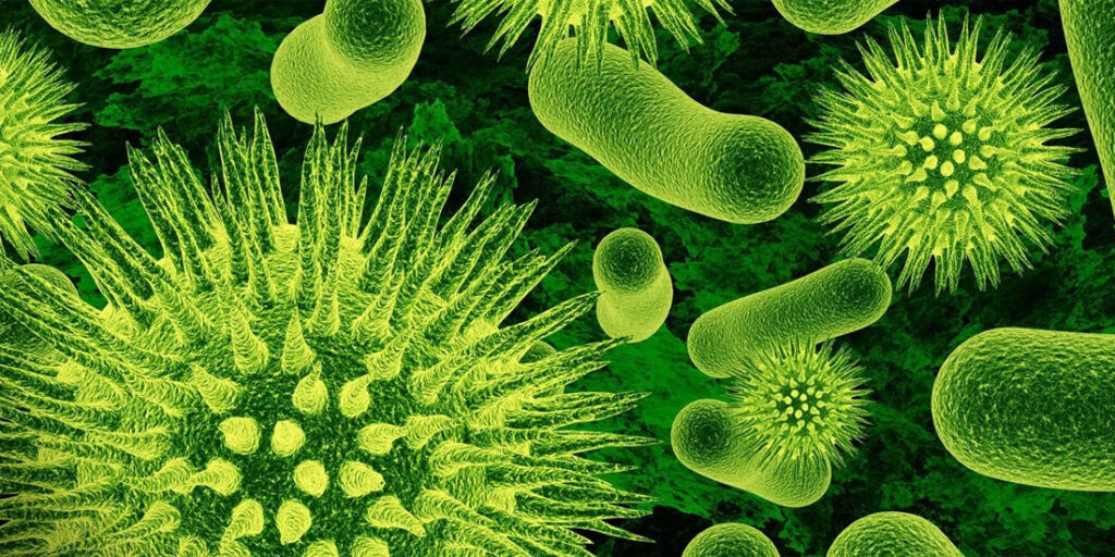 Το μυστικό των βακτηρίων του εντέρου Παράγουν (και) ηλεκτρικό ρεύμα!