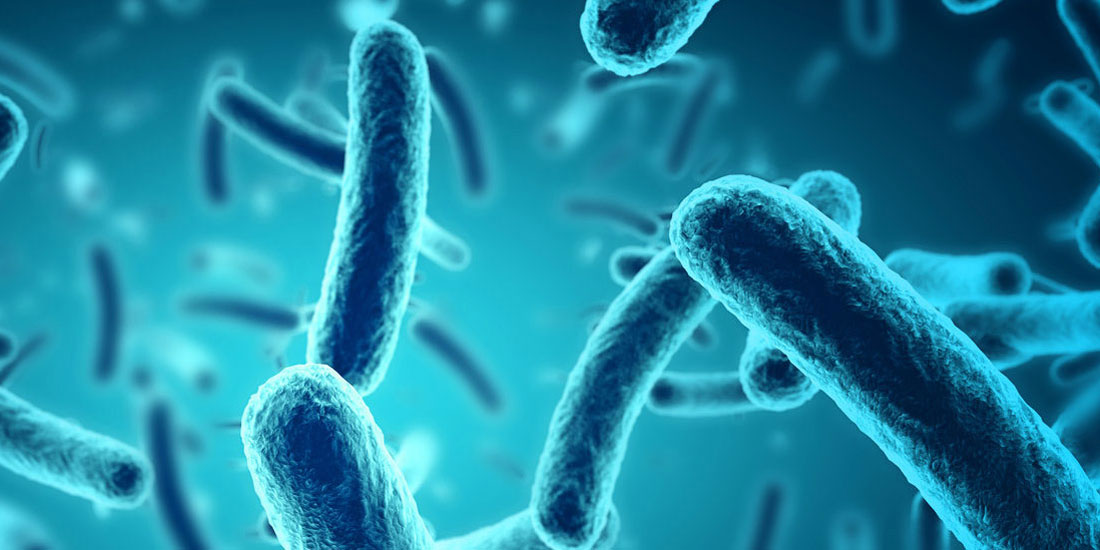 Ο ρόλος του μικροβιώματος στην ενίσχυση της αποτελεσματικότητας της ανοσοθεραπείας και τη συρρίκνωση των όγκων