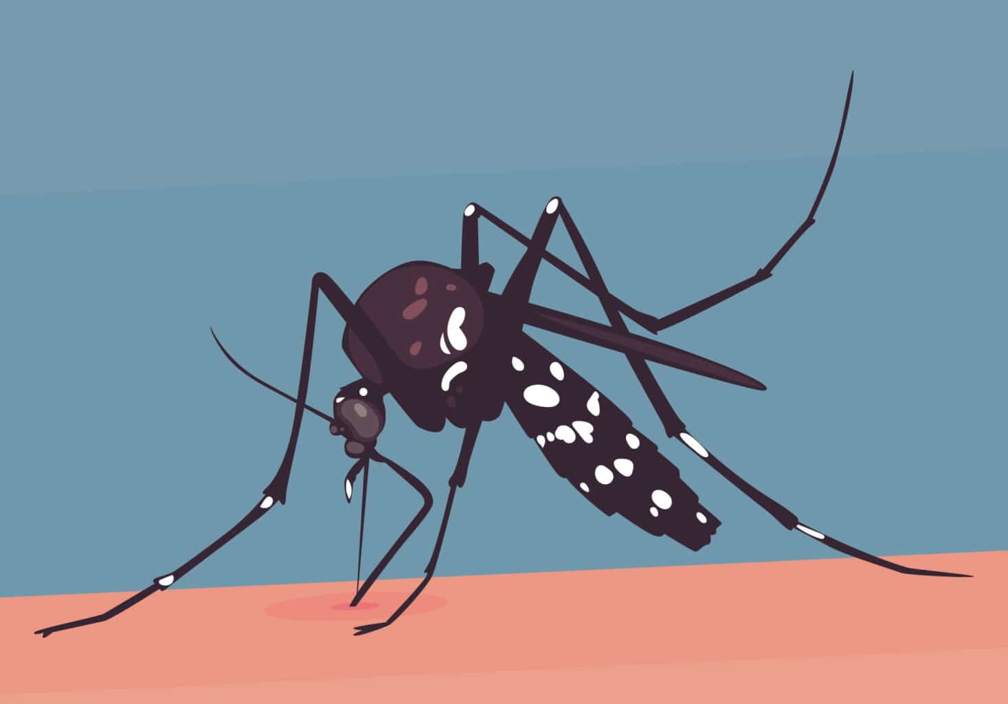 ekthesi-eody-ios-dytikou-neilou