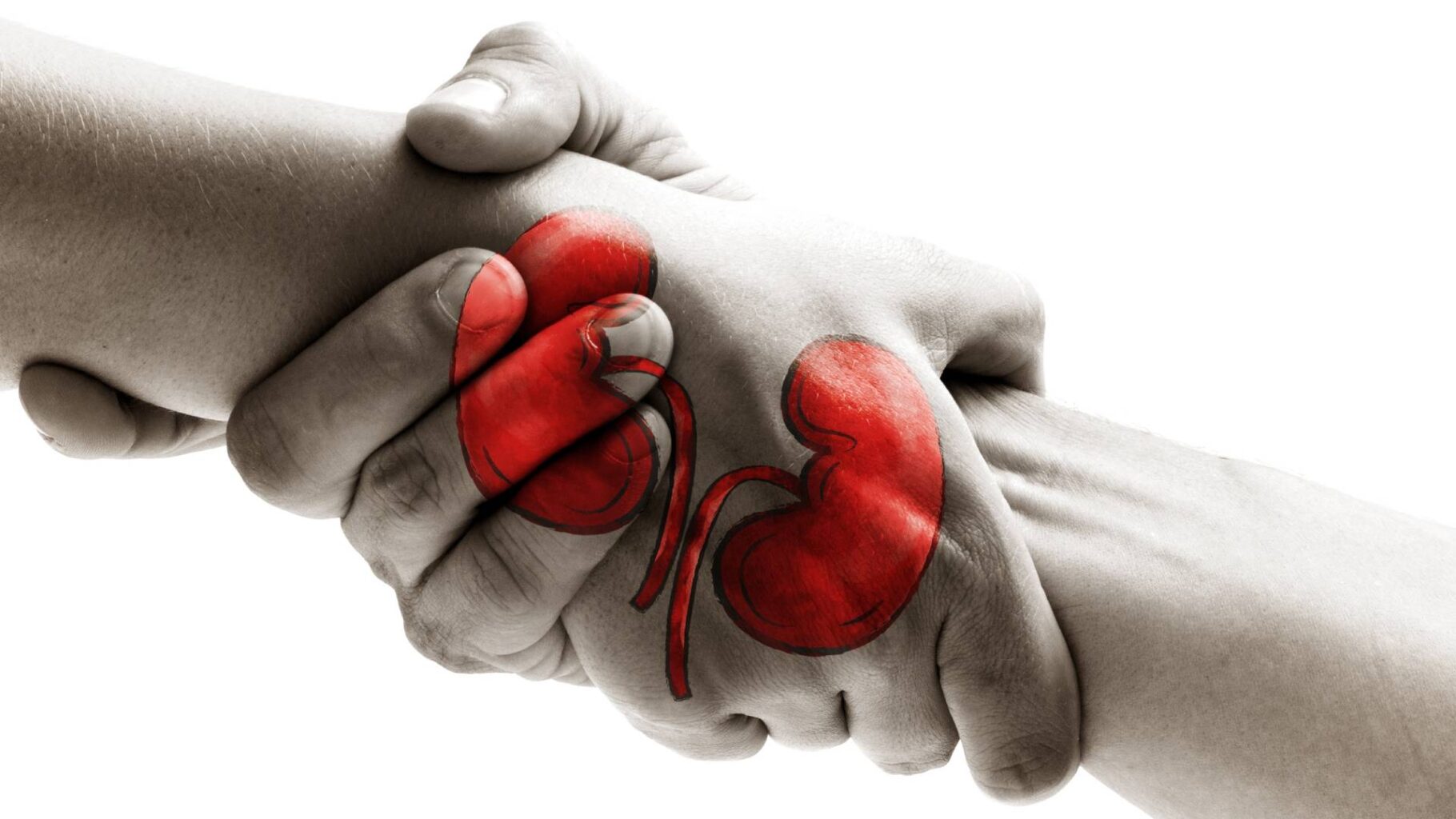 ΕΟΜ – Κατά 42% αυξήθηκαν οι δωρητές οργάνων σε 10 ημέρες