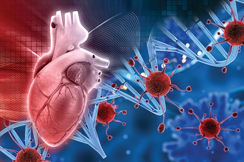 Καρδιακοί δείκτες μπορούν να προβλέψουν τον μελλοντικό κίνδυνο καρκίνου kardia-karkinos-