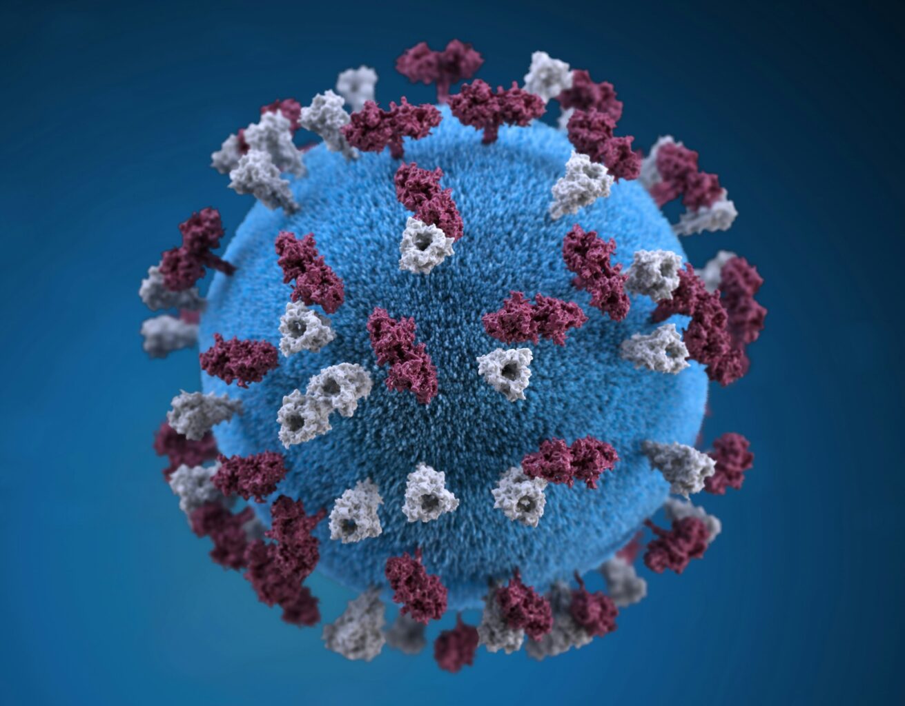 HPV μύθοι