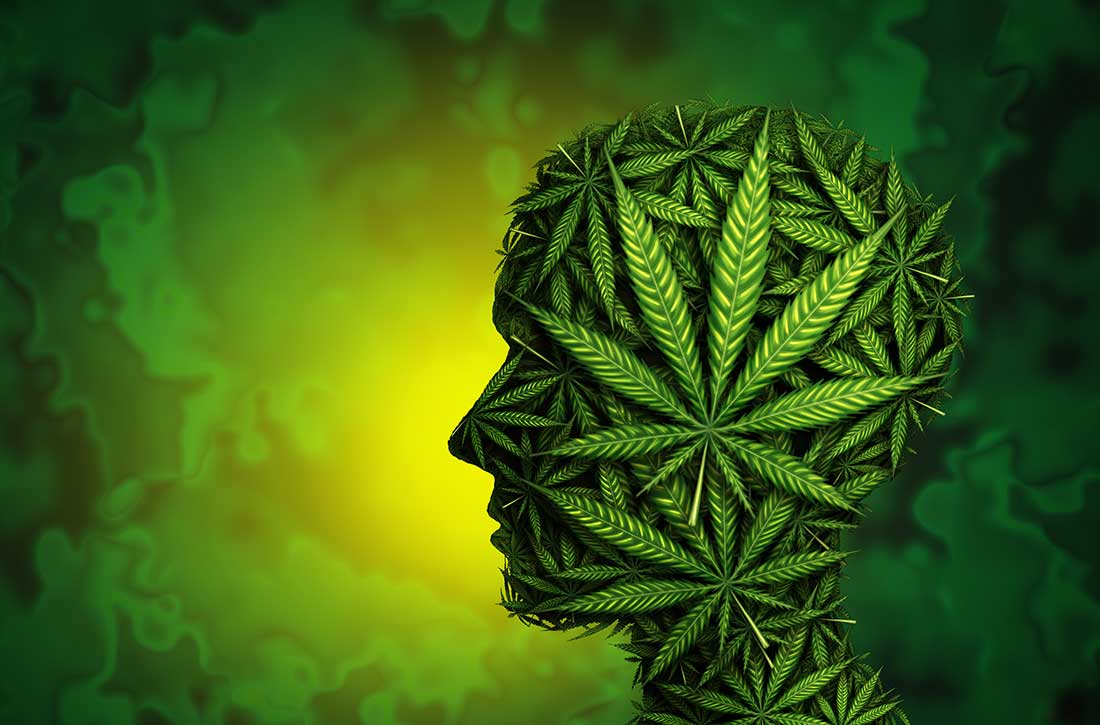 Χρήση κάνναβης στην εφηβεία: Υψηλός κίνδυνος για ψυχικές και σωματικές διαταραχές στην ενήλικη ζωή kannavi-