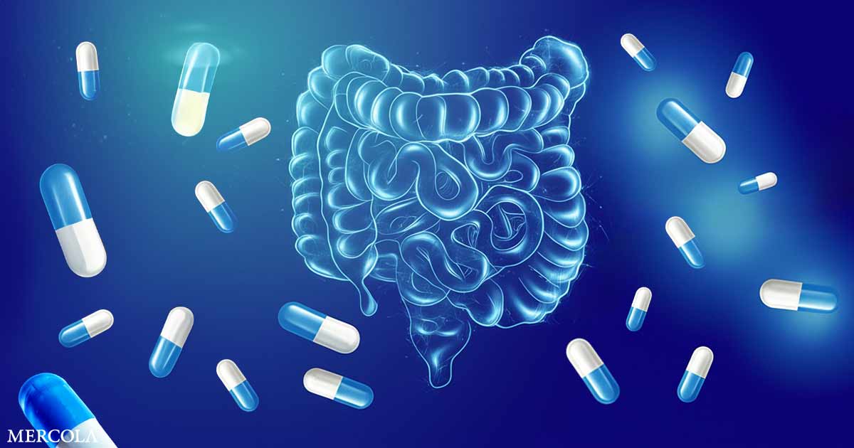 Εντερικό μικροβίωμα: Κοινά φάρμακα αφήνουν μόνιμα σημάδια στο έντερο, ακόμα και χρόνια μετά τη διακοπή τους mikrovioma-farmaka-