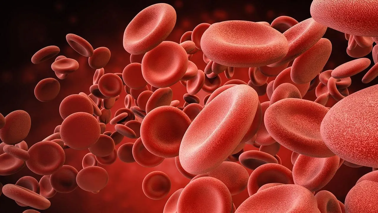 Η Κύπρος ενισχύει το σύστημα φροντίδας για τις αιμοσφαιρινοπάθειες