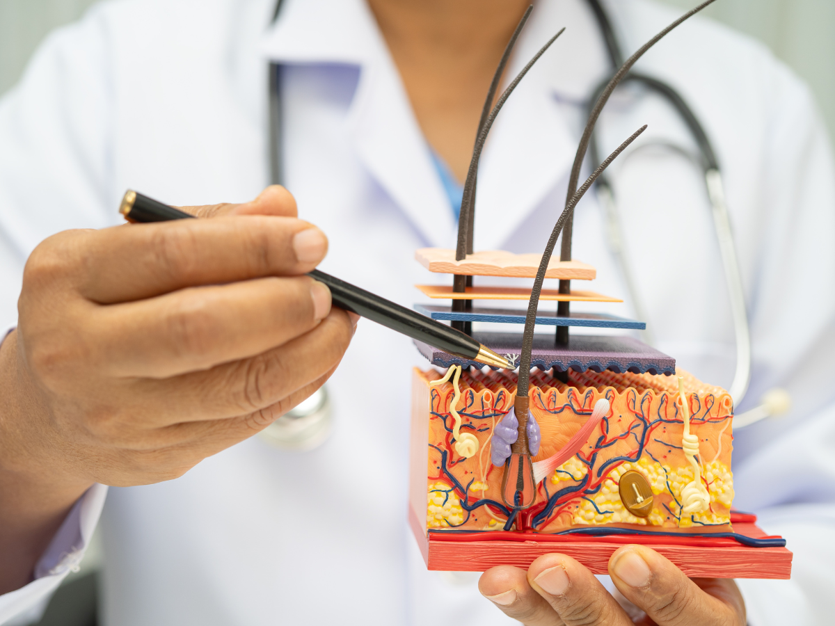 Οι επιστήμονες σχεδίασαν δέρμα που προειδοποιεί για φλεγμονές και νόσους – Τέλος στις αιμοληψίες; δέρμα διάγνωση