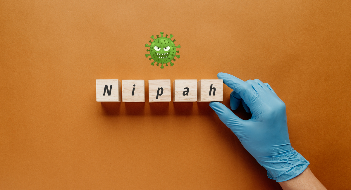 ΠΟΥ: Ο κίνδυνος να επεκταθεί ο ιός Νίπα πέραν της Ινδίας είναι χαμηλός ιός νίπα