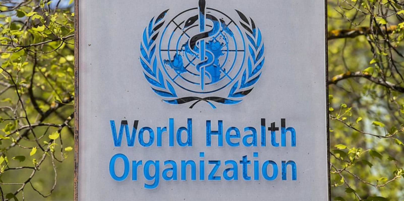 Ο Παγκόσμιος Οργανισμός Υγείας εκφράζει θλίψη για την αποχώρηση των ΗΠΑ ΠΟΥ ΗΠΑ