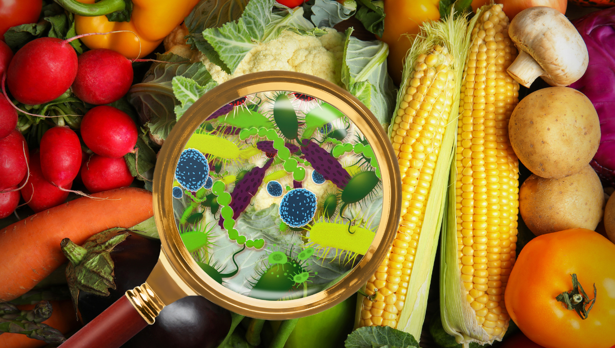 Ζήτημα δημόσιας υγείας η μικροβιακή αντοχή σε βακτήρια που μεταδίδονται μέσω τροφίμων μικροβιακή αντοχή