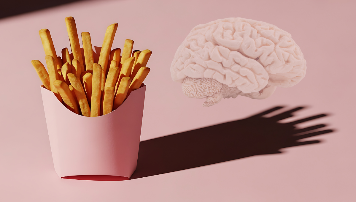 Η ανθυγιεινή διατροφή στα πρώτα χρόνια ζωής προκαλεί μακροχρόνιες αλλαγές στον εγκέφαλο ανθυγιεινή διατροφή εγκέφαλος