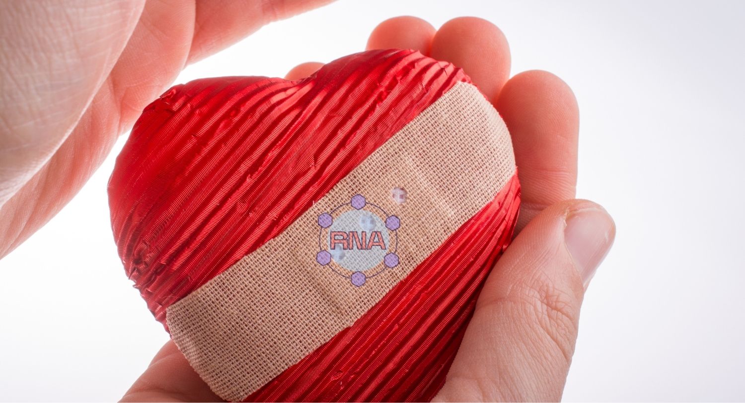 Θεραπεία RNA θα μπορούσε να βοηθήσει την καρδιά να επιδιορθωθεί μόνη της