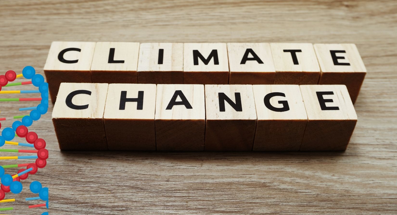 Οι επιπτώσεις της κλιματικής αλλαγής επηρεάζουν και τους απογόνους Κλιματική αλλαγή